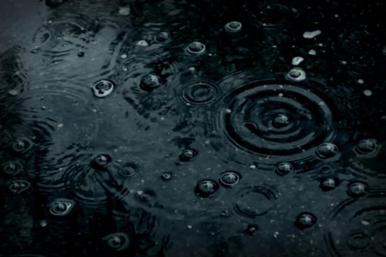 Aktuelle Wetterwarnung: Starke Windböen in Ratingen! Ihre Wettervorhersage für die nächsten Tage