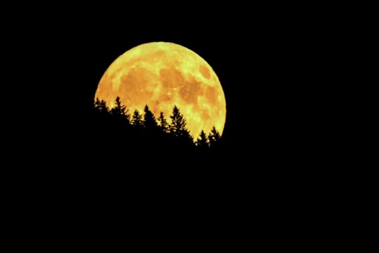 Der Mars bringt frischen Wind – was das für dein Horoskop bedeutet