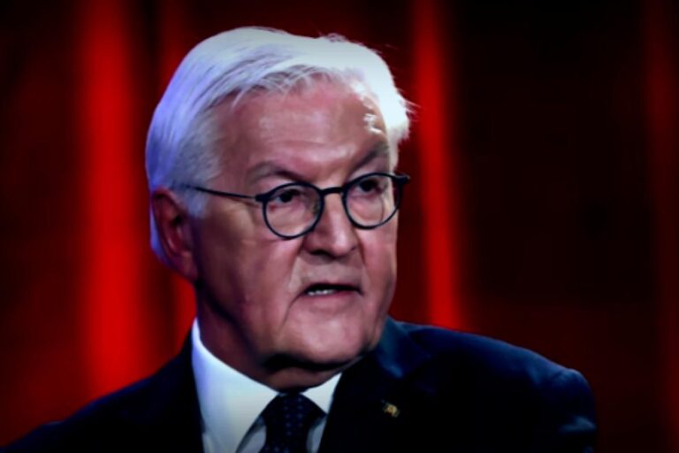AfD empört über Steinmeier-Rede: „Ein Missbrauch des Amtes“