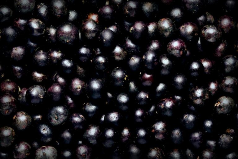 Kleine Veränderungen, große Wirkung: Diese Lebensmittel stärken dein Herz