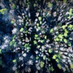 Kinder der Waldfamilie in Italien: Jetzt im Heim und die erste Dusche