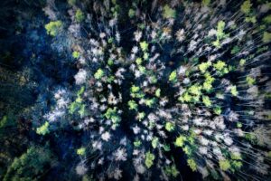 Kinder der Waldfamilie in Italien: Jetzt im Heim und die erste Dusche