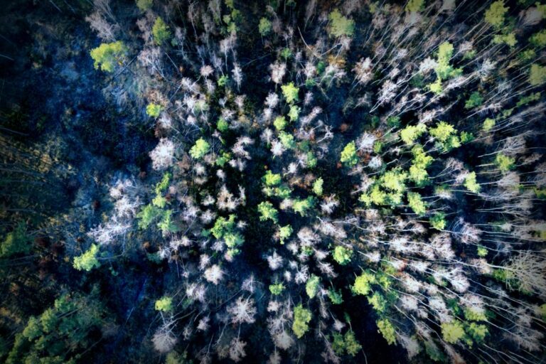 Kinder der Waldfamilie in Italien: Jetzt im Heim und die erste Dusche