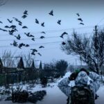 Friedensgespräche im Russland-Ukraine-Krieg: Kreml betont Stärke